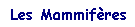 Les Mammifères
